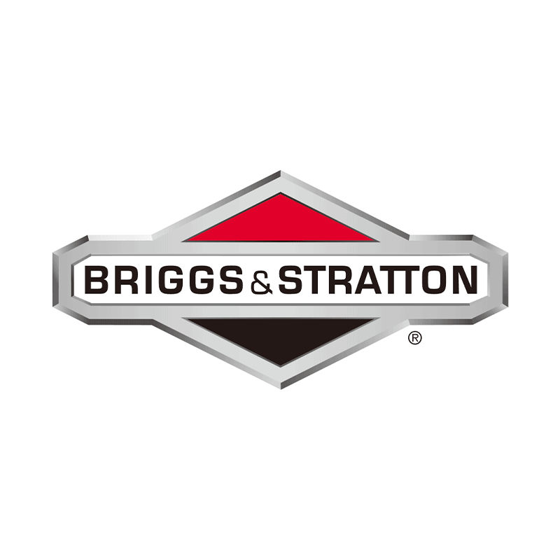 Briggs & Stratton