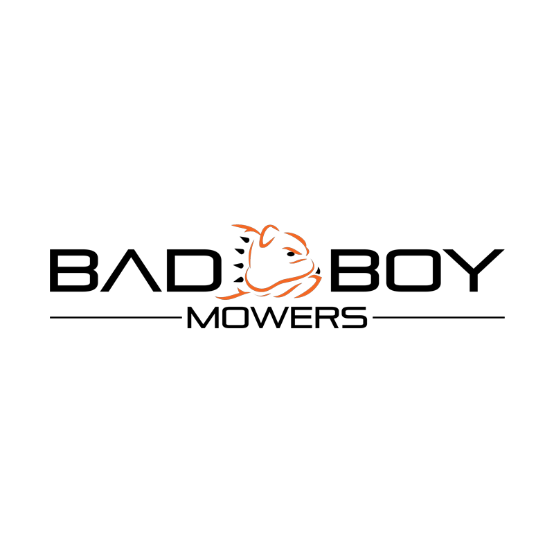 Bad Boy